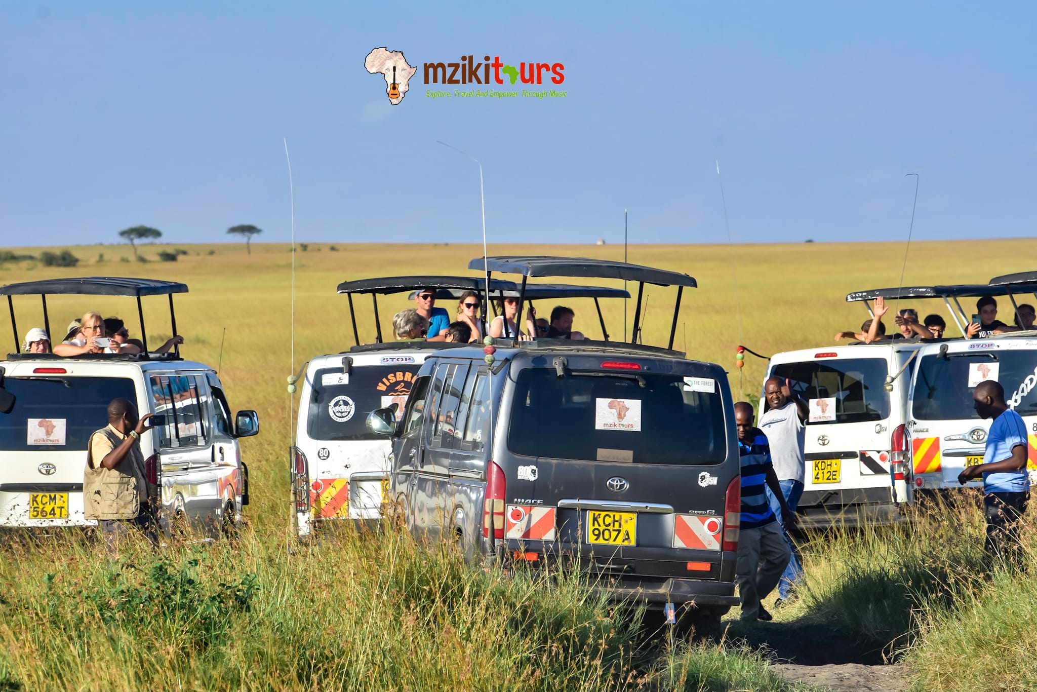 Kenya Wildlife